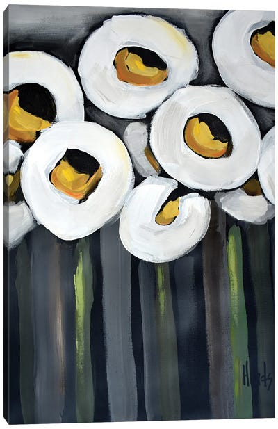 White Poppies Canvas Art Print - David Hinds