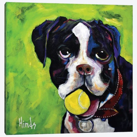 Go Fetch Canvas Print #DHD195} by David Hinds Canvas Art