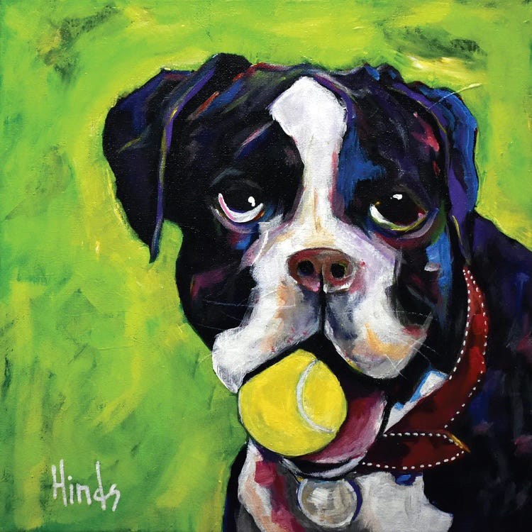 Go Fetch by David Hinds wall art