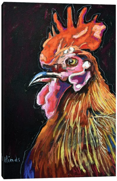 Proud Rooster Canvas Art Print - David Hinds