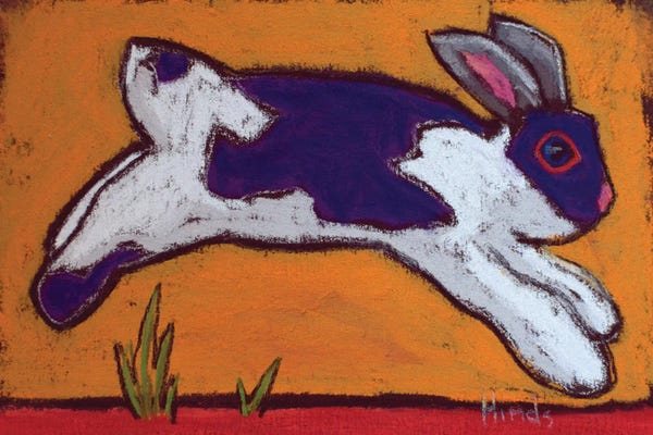 Rabbits: Hippity Hop by David Hinds