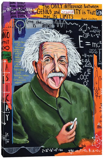 Albert Einstein Canvas Art Print - David Hinds