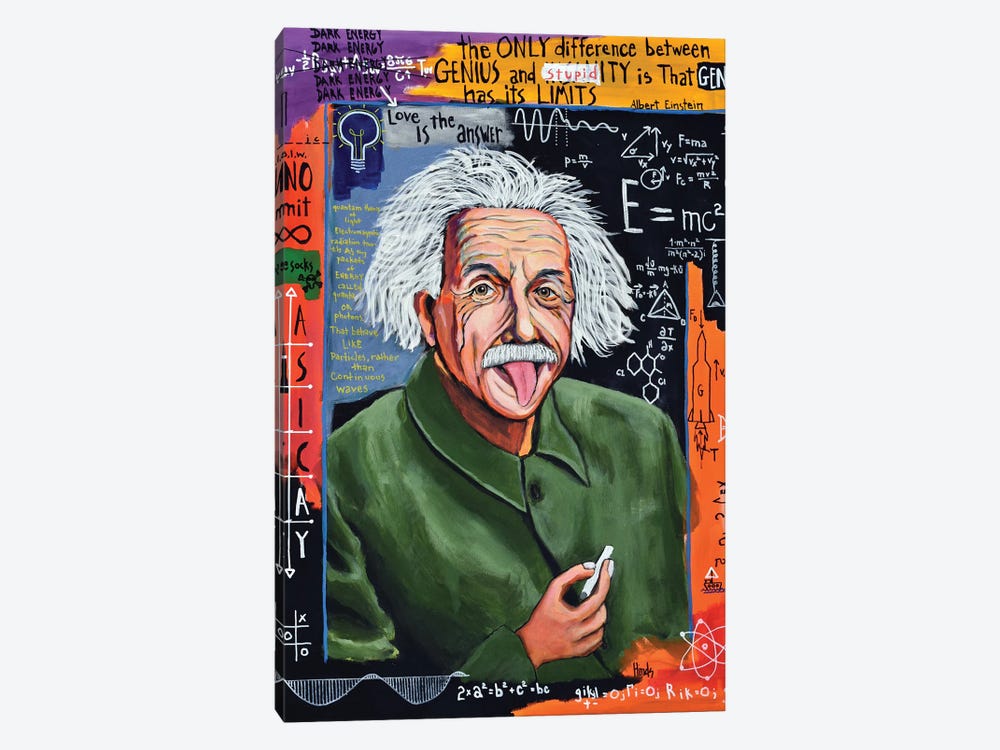 Albert Einstein by David Hinds 1-piece Canvas Artwork