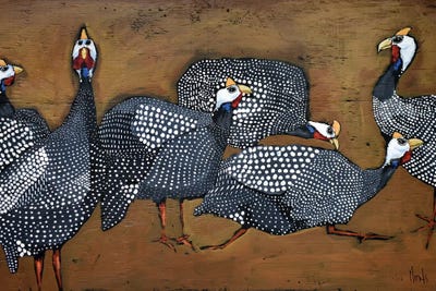 A Confusion Of Guinea Fowl by David Hinds canvas print
