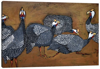 A Confusion Of Guinea Fowl Canvas Art Print - David Hinds