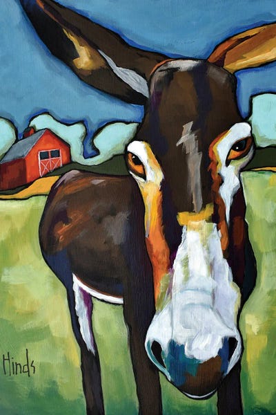 Donkeys: No, I'm Not Ed by David Hinds