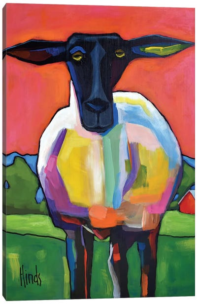 Funky Sheep Portrait Canvas Art Print - David Hinds