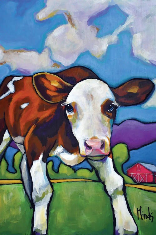 Hereford Calf by David Hinds wall art
