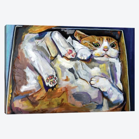 Cat In A Box Canvas Print #DHD277} by David Hinds Canvas Art Print