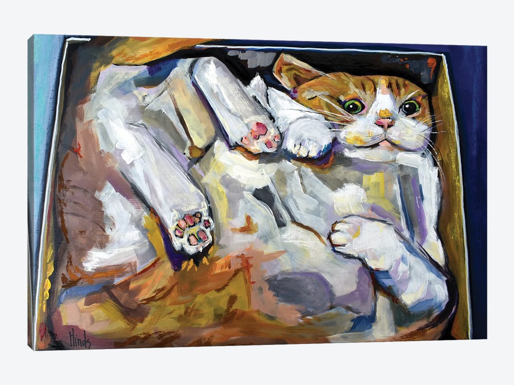 Cat In A Box by David Hinds 1-piece Canvas Artwork