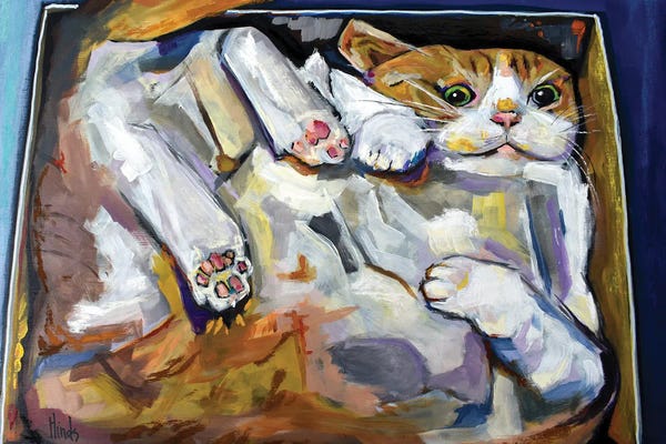 David Hinds: Cat In A Box by David Hinds