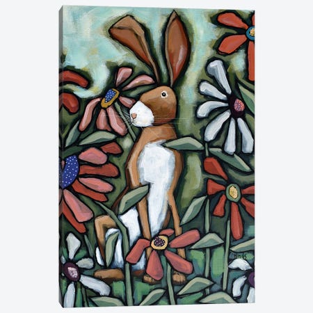 Brown Bunny Canvas Print #DHD291} by David Hinds Canvas Art