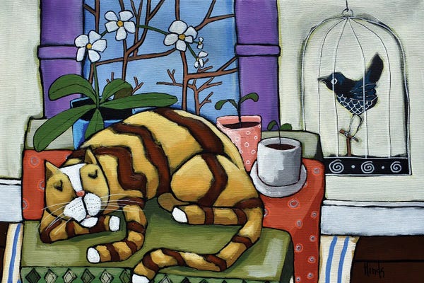 Orchids: Catnap by David Hinds
