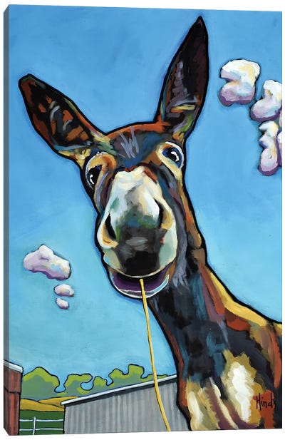 Got My Head In The Clouds Canvas Art Print - David Hinds