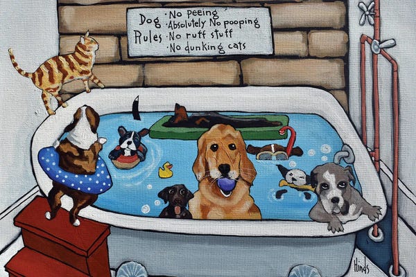 Cats: Nine Dogs And A Cat by David Hinds