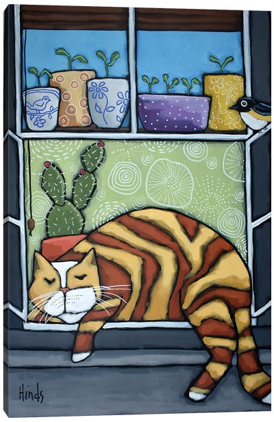 Cat Sleeping In The Window Sill Canvas Art Print - David Hinds