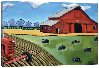 Old Red Barn With Guinea Fowl And A Farmall Canvas Art Print - David Hinds
