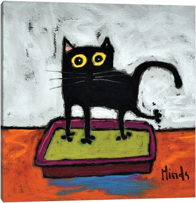 Black Cat In The Litter Box Canvas Art Print - David Hinds