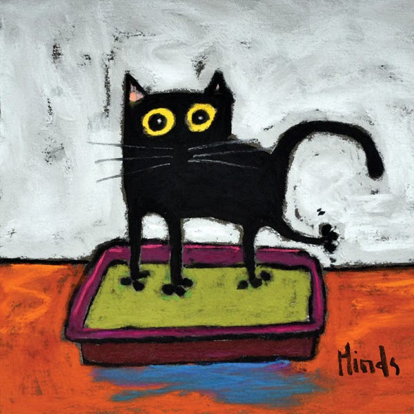 David Hinds: Black Cat In The Litter Box by David Hinds