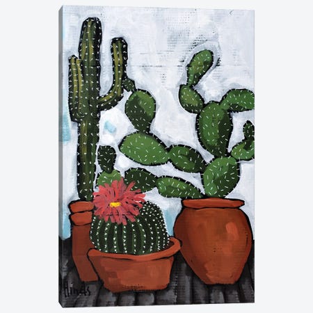 Carefree Cactus Canvas Print #DHD394} by David Hinds Canvas Artwork