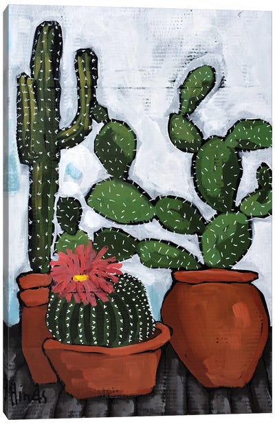 Carefree Cactus Canvas Art Print - David Hinds