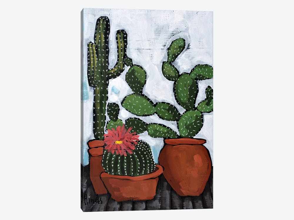 Carefree Cactus by David Hinds 1-piece Canvas Art