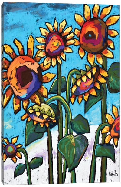 Sunflower Delight Canvas Art Print - David Hinds