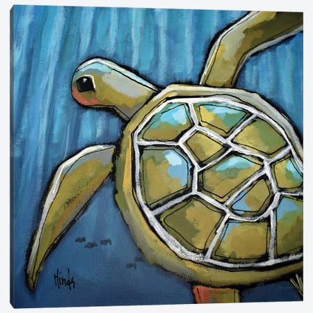 Little Sea Turtle Canvas Print #DHD440} by David Hinds Canvas Print