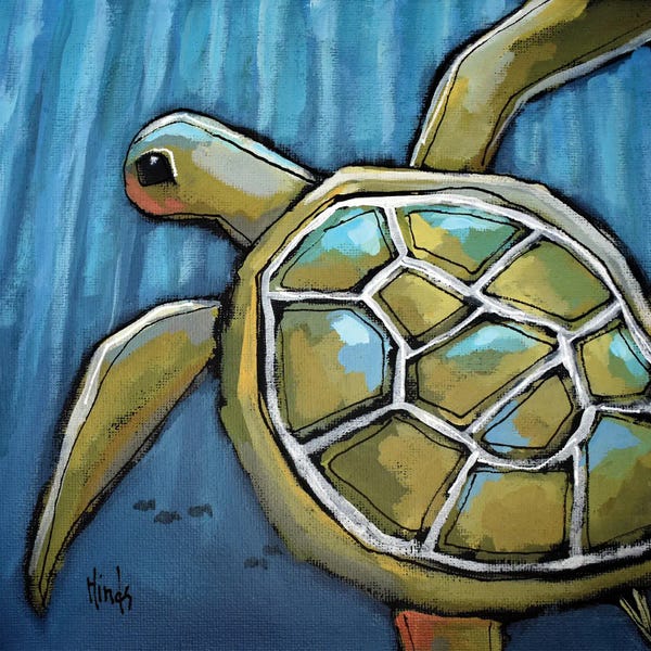 Turtles: Little Sea Turtle by David Hinds