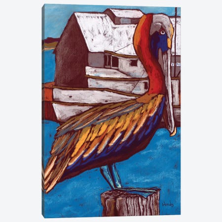 Colorful Pelican On The Old Fisherman's Wharf Canvas Print #DHD44} by David Hinds Art Print