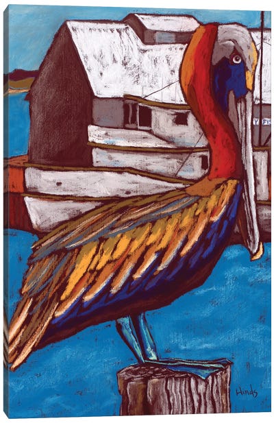 Colorful Pelican On The Old Fisherman's Wharf Canvas Art Print - David Hinds