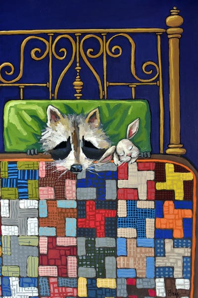 Raccoons: Snuggle Buddies by David Hinds