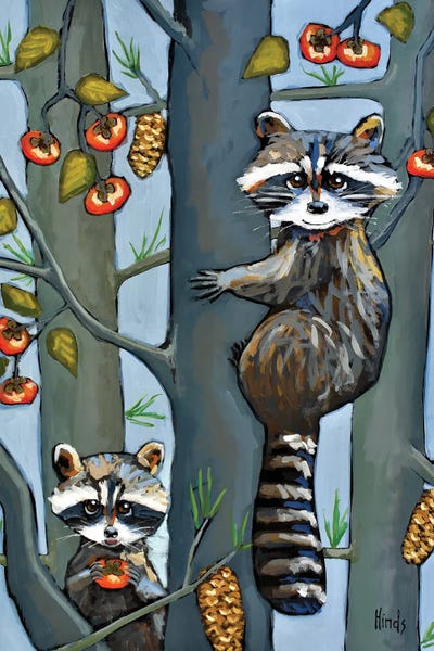 Raccoons: Racoons In A Persimmon Tree by David Hinds