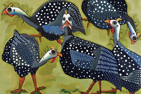 Turkeys: Five Guinea by David Hinds
