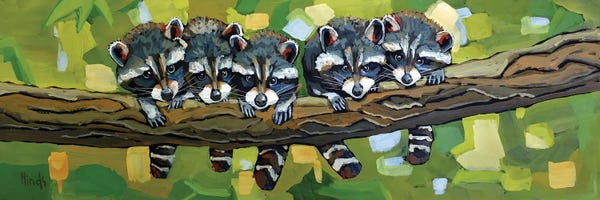 Raccoons: Five Baby Raccoons On A Tree Limb by David Hinds