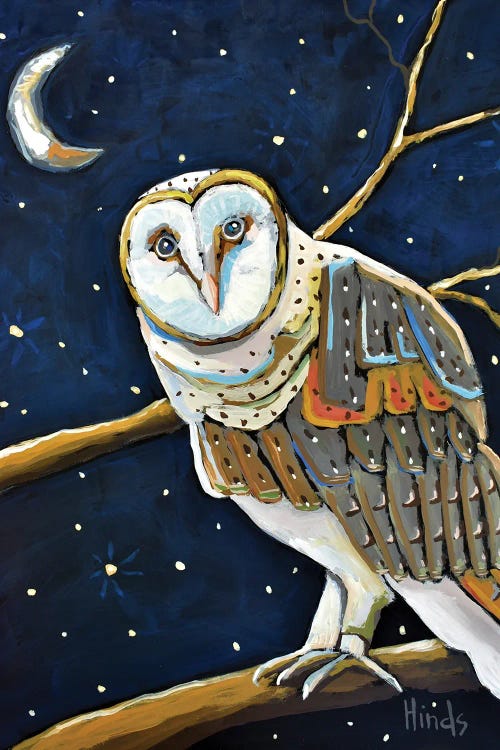 Barn Owl Under A Starry Night Sky by David Hinds wall art