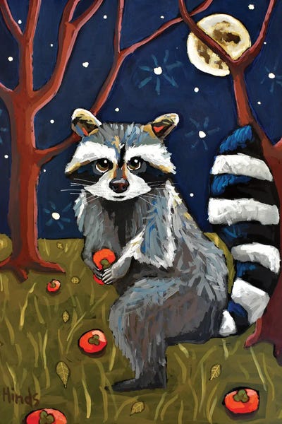Raccoons: The Midnight Bandit by David Hinds