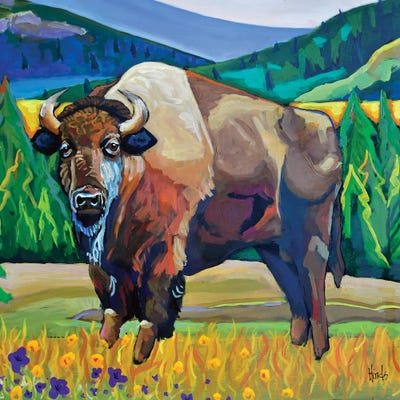 Canvas Print: American Bison by David Hinds - thumbnail