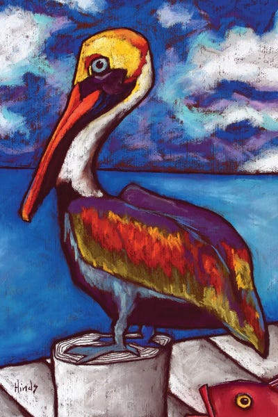 Pelicans: Rusty by David Hinds
