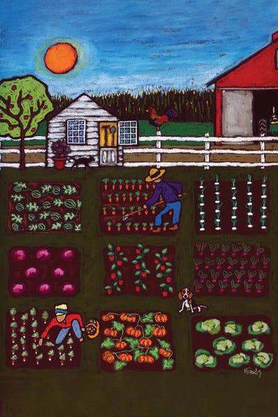 Gardening: The Vegetable Patch by David Hinds