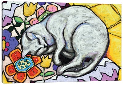 Cat Nap Canvas Art Print - David Hinds