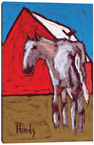Abstract Horse And Barn Canvas Art Print - David Hinds