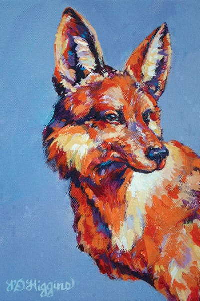 Coyotes: Twilight Meditations by Derrick Higgins