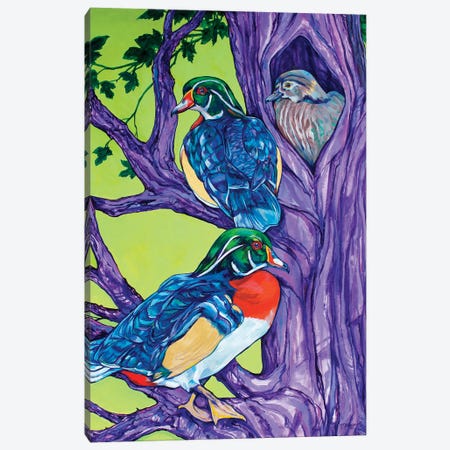 Wood Duck Tree Canvas Print #DHG108} by Derrick Higgins Canvas Artwork