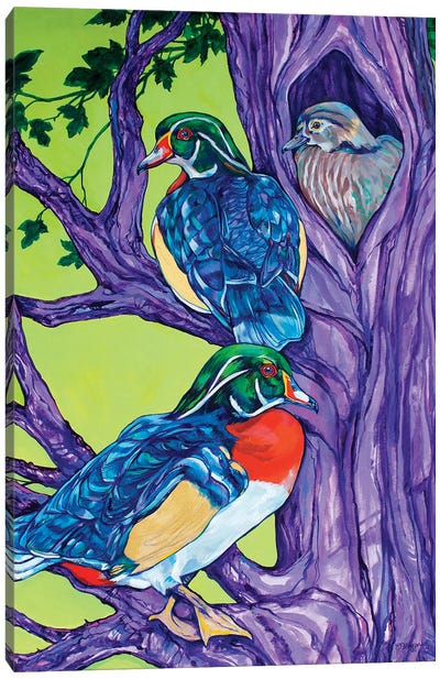 Wood Duck Tree Canvas Art Print - Derrick Higgins 