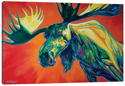 Majestic Canvas Art Print - Moose Art
