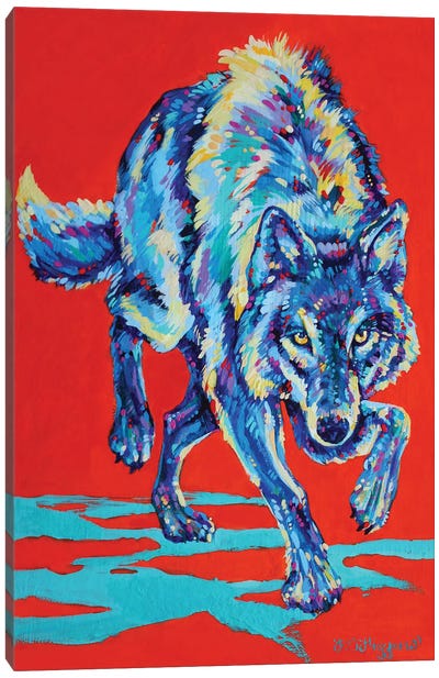 Kuskanax Creek Wolf Canvas Art Print - Derrick Higgins 