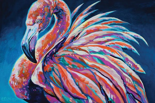 Flamingos: On Flamingo Pond by Derrick Higgins