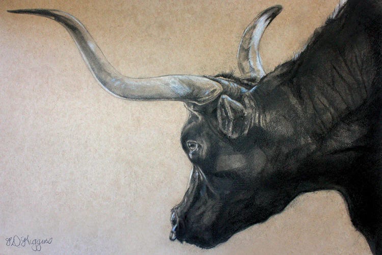 Red Rock Canyon Bull by Derrick Higgins wall art