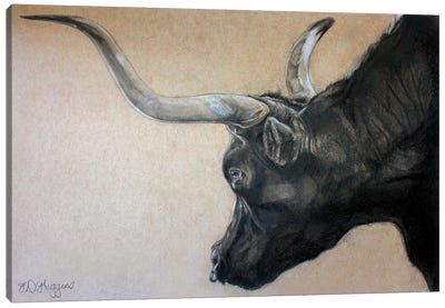 Red Rock Canyon Bull Canvas Art Print - Longhorn Art